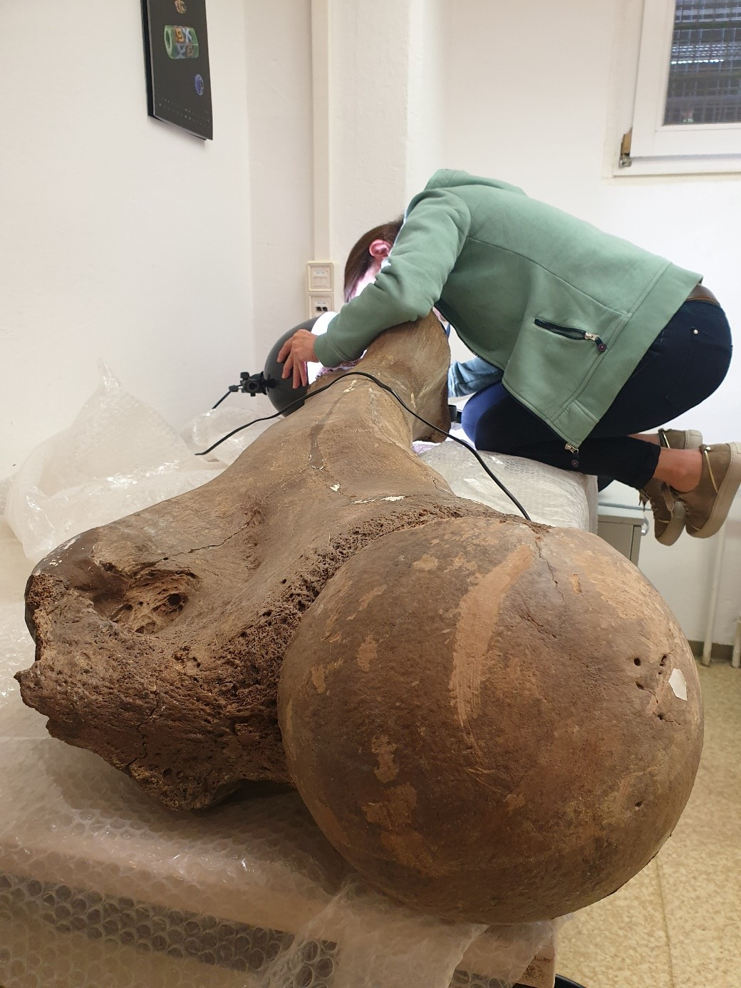 Así era como los neandertales cazaban elefantes gigantes hace 125 mil años