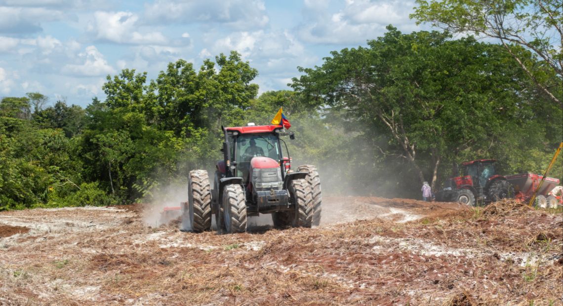 El reto de los jóvenes rurales: acceso a tierras para un futuro en el campo