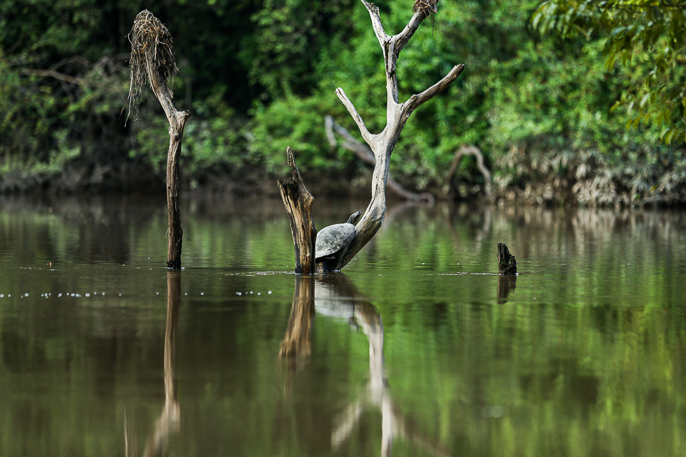Orocue Casanare