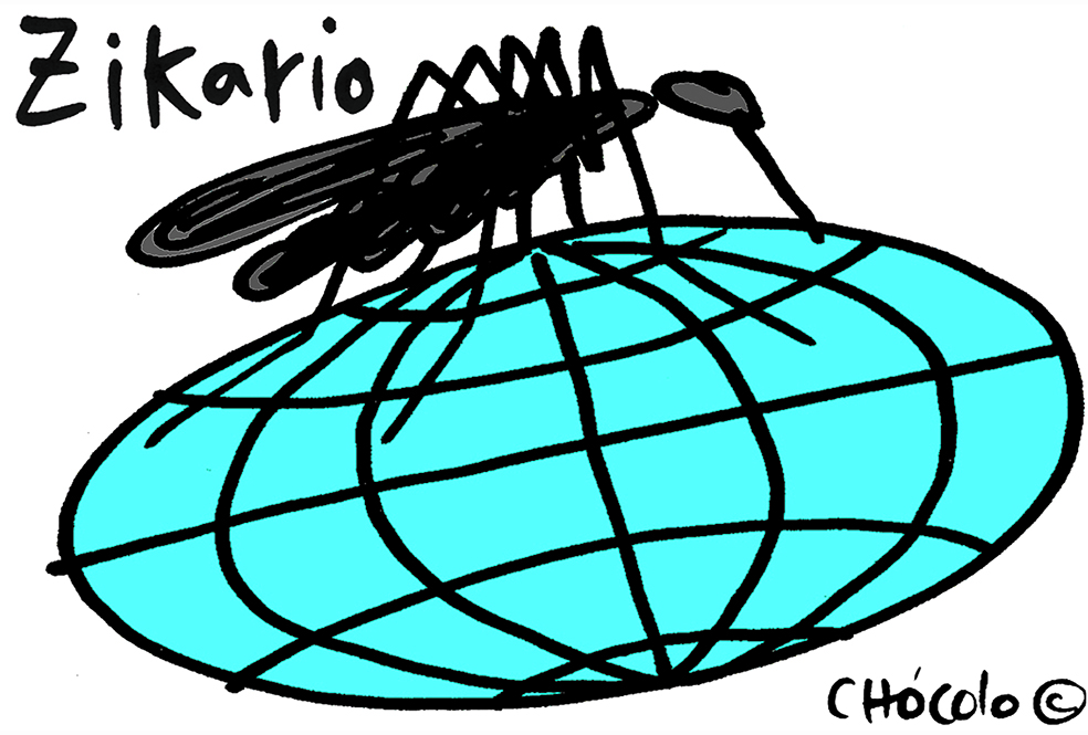 Chócolo