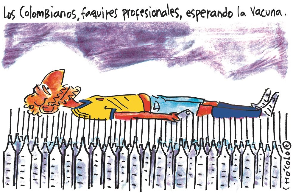 Chócolo
