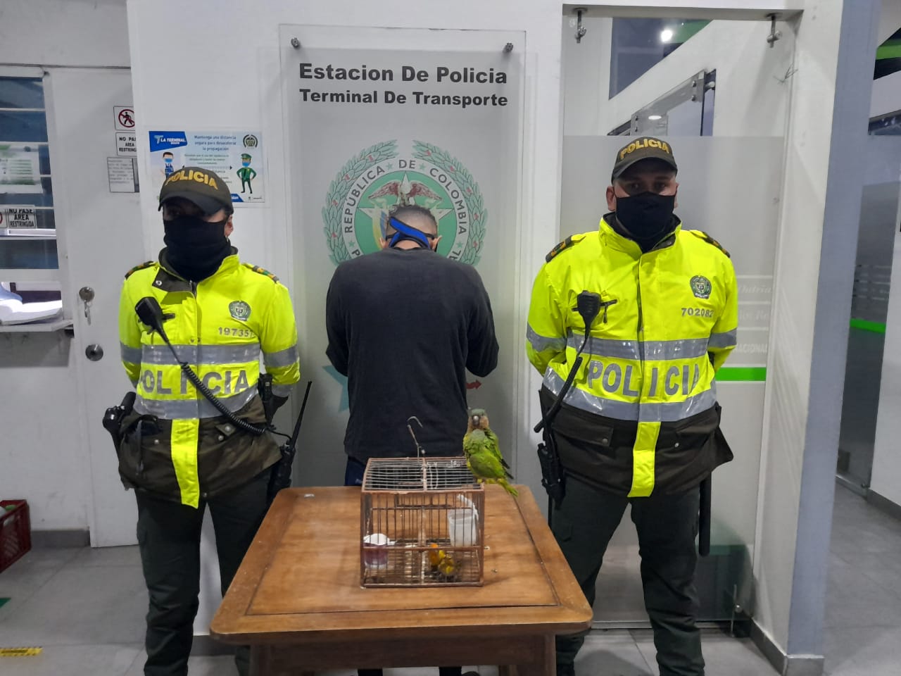 Maltrato animal en Bogotá: Policía rescató a un mono capuchino y varios loros