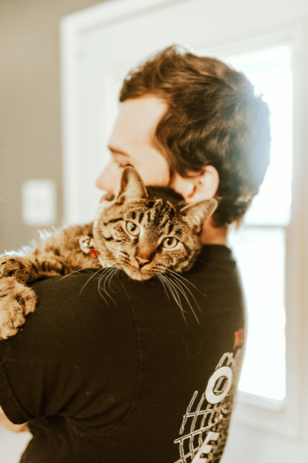La afinidad felina: ¿por qué algunos gatos prefieren a ciertas personas?