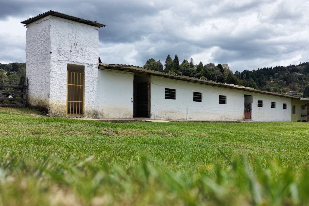 Bien de supuesto socio de Gacha y de los Castaño será un refugio para animales abandonados