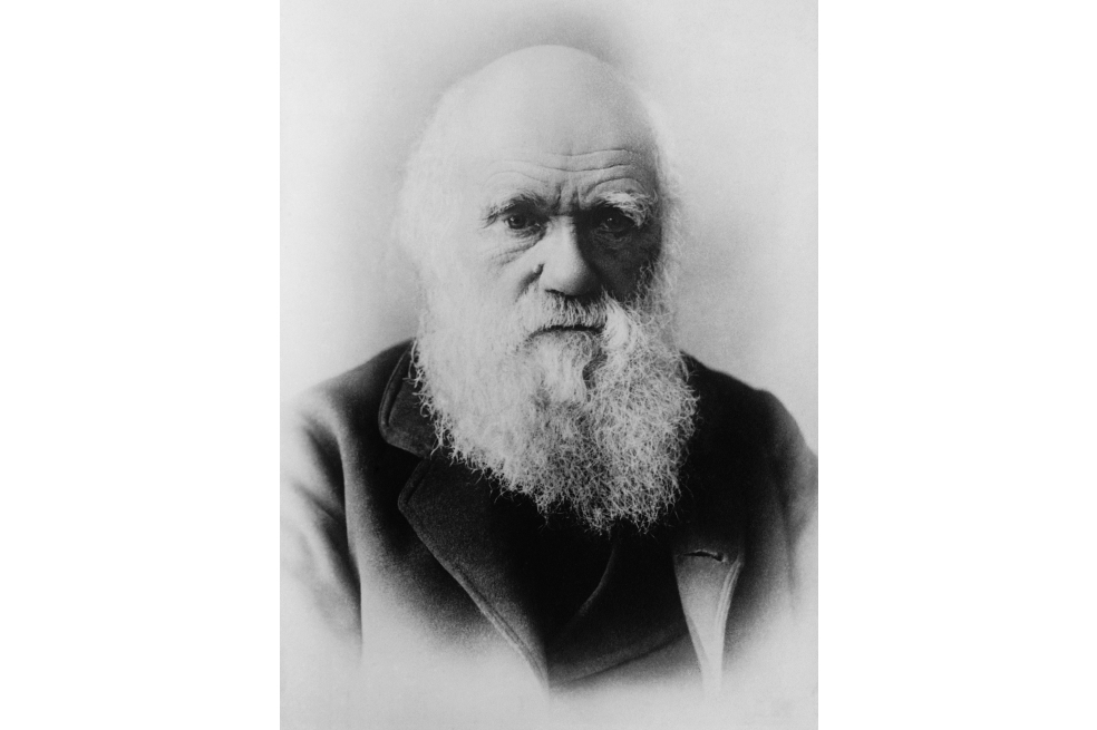 Cambridge busca dos cuadernos de Darwin que se perdieron hace 20 años