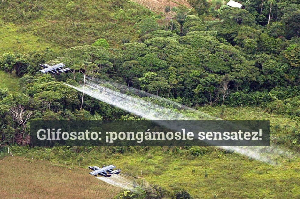 Opinión vs. ciencia: la evidencia sí sugiere que el glifosato es tóxico