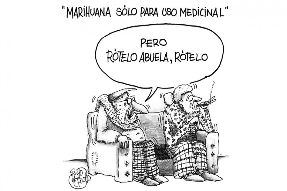 Picho y Pucho