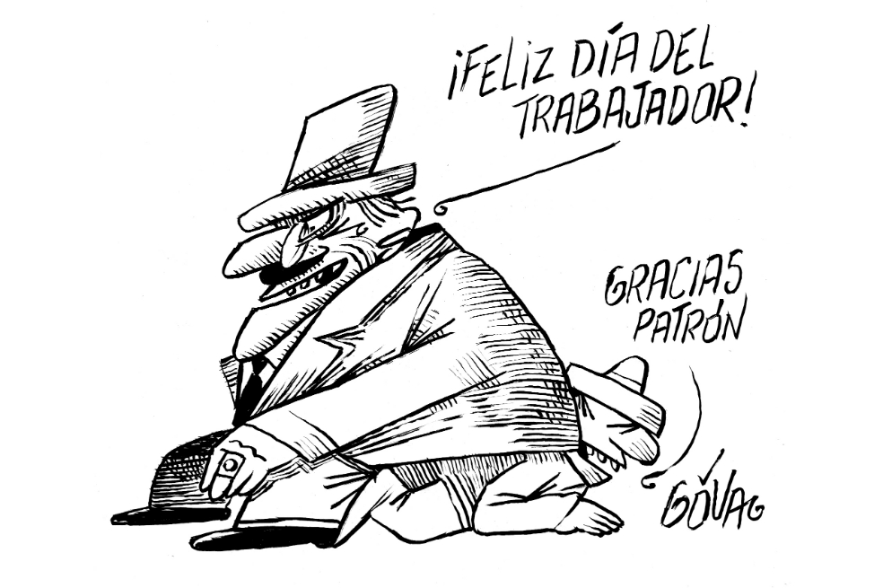 Esto eligieron