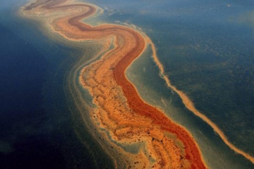 México restaura con bacterias los ecosistemas acuáticos dañados por petróleo