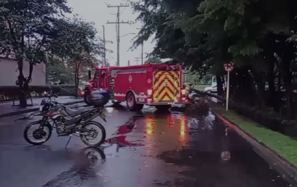 Movilidad hoy: reportan caída de árboles y encharcamientos en estas vías de Bogotá