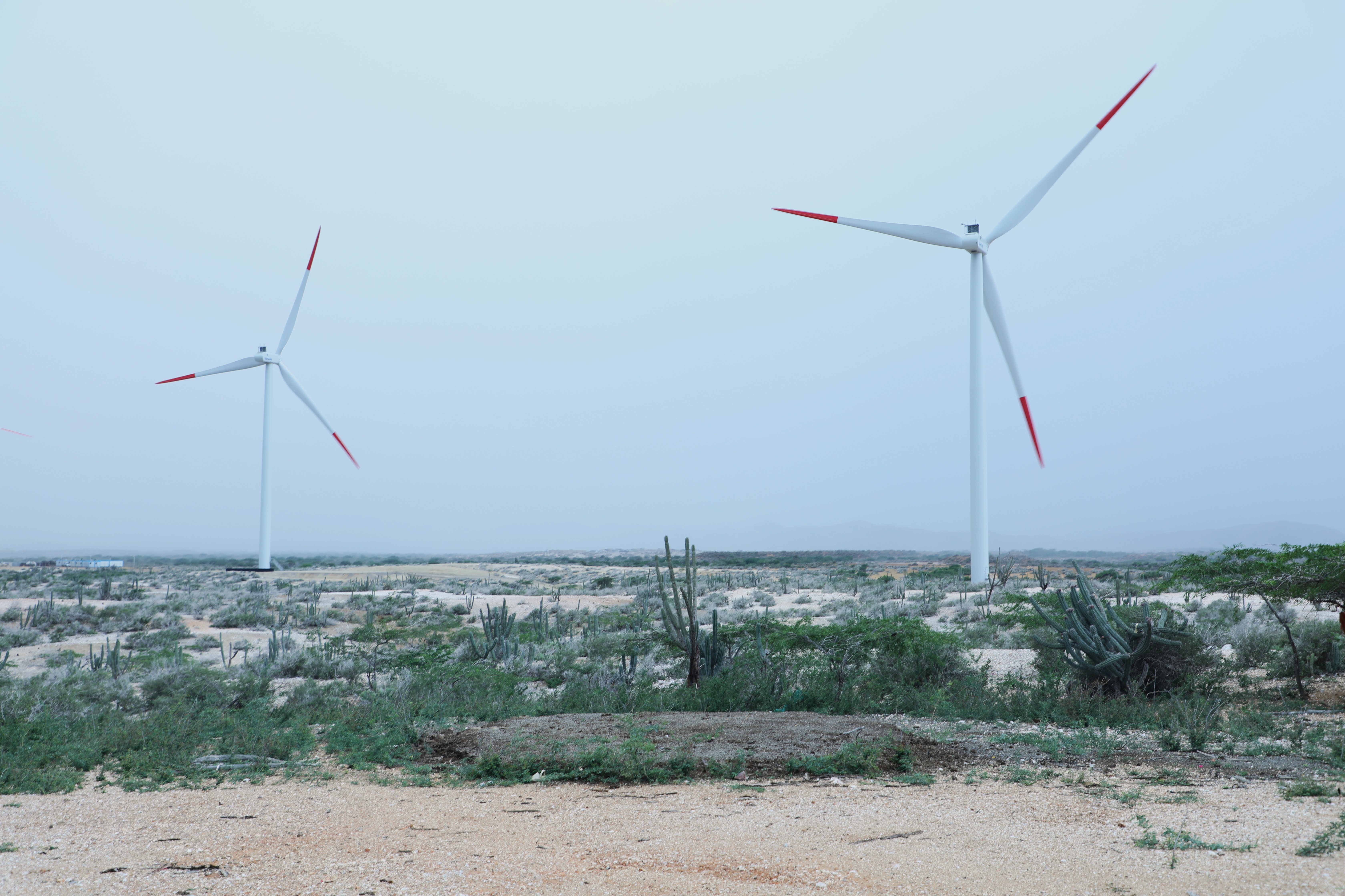 Energía eólica en La Guajira: un dilema sin resolver para los wayuus