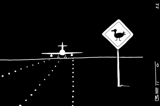 Seguridad aérea