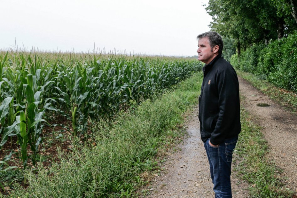 Monsanto deberá indemnizar a un agricultor intoxicado por un herbicida
