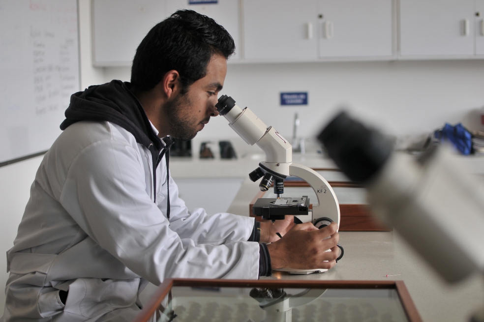 El precio de estudiar un doctorado en Colombia