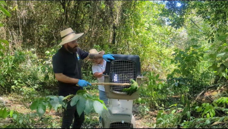 Tolima: 22 animales fueron liberados en el Día Nacional de la Fauna Silvestre