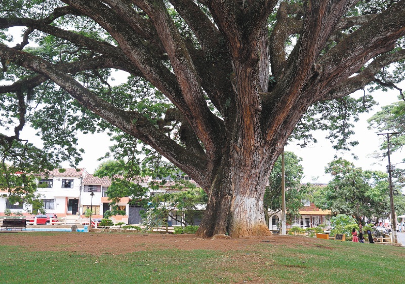 Santander de Quilichao, Cauca. / Sergio Cárdenas - FUPAD