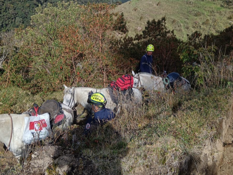 Lo que se sabe de la muerte de reconocido senderista en Salento, Quindío