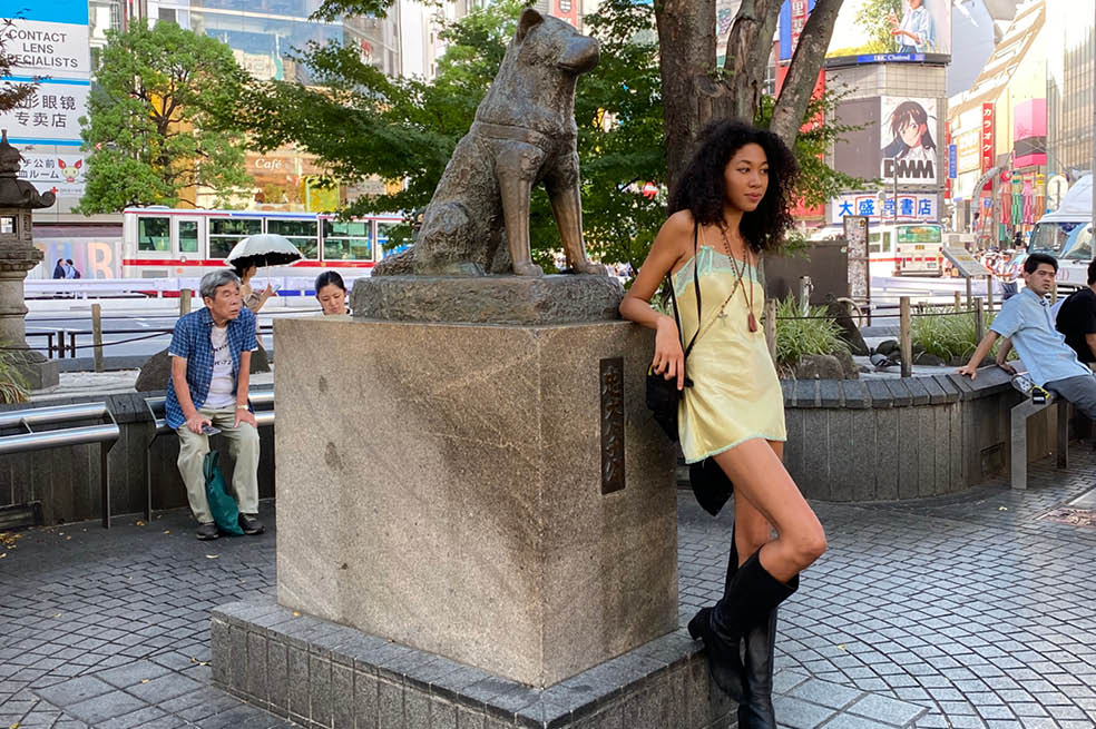 Torre de Tokio: perro fabuloso