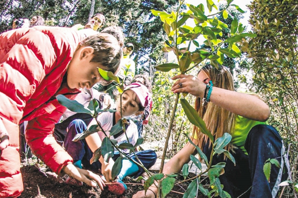 Prográmese para un viernes de actividades nocturnas en el Jardín Botánico de Bogotá