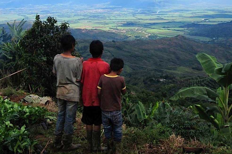 Cultivando, campesinos desplazados vuelven a soñar la paz