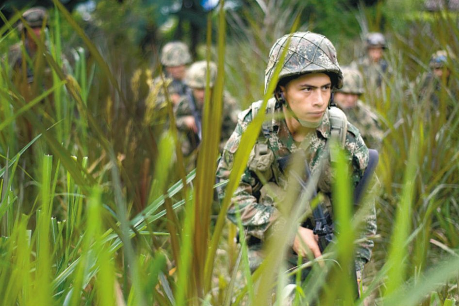 Cesaron los enfrentamientos armados entre las Farc y el Ejército. / Foto: Archivo