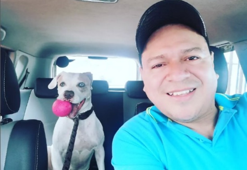 ‘Nos dejan animales, pero el apoyo no llega’: fundación pide ayuda ante desalojo
