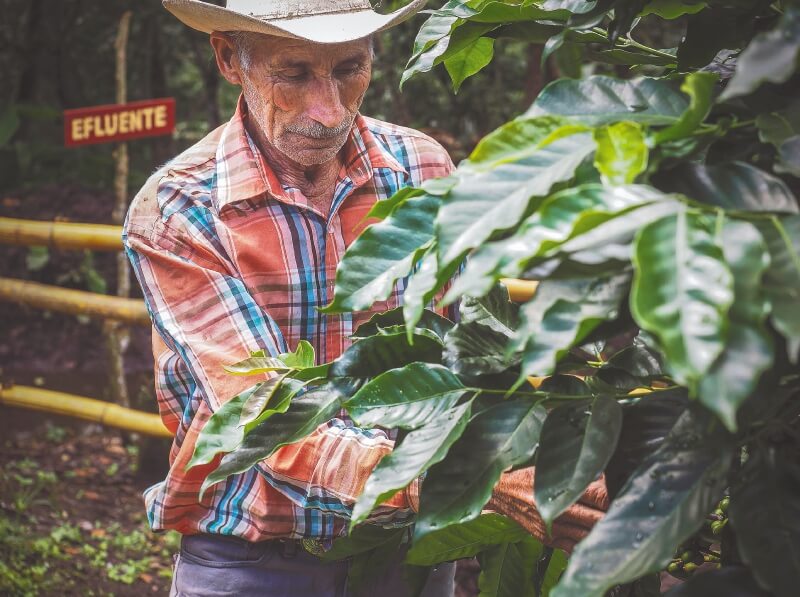 Agroecología, un modelo para rescatar el campo