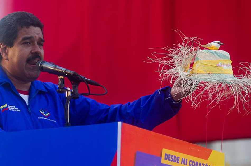 Chavistas ponen de moda el plátano y los pajaritos convencidos de la victoria