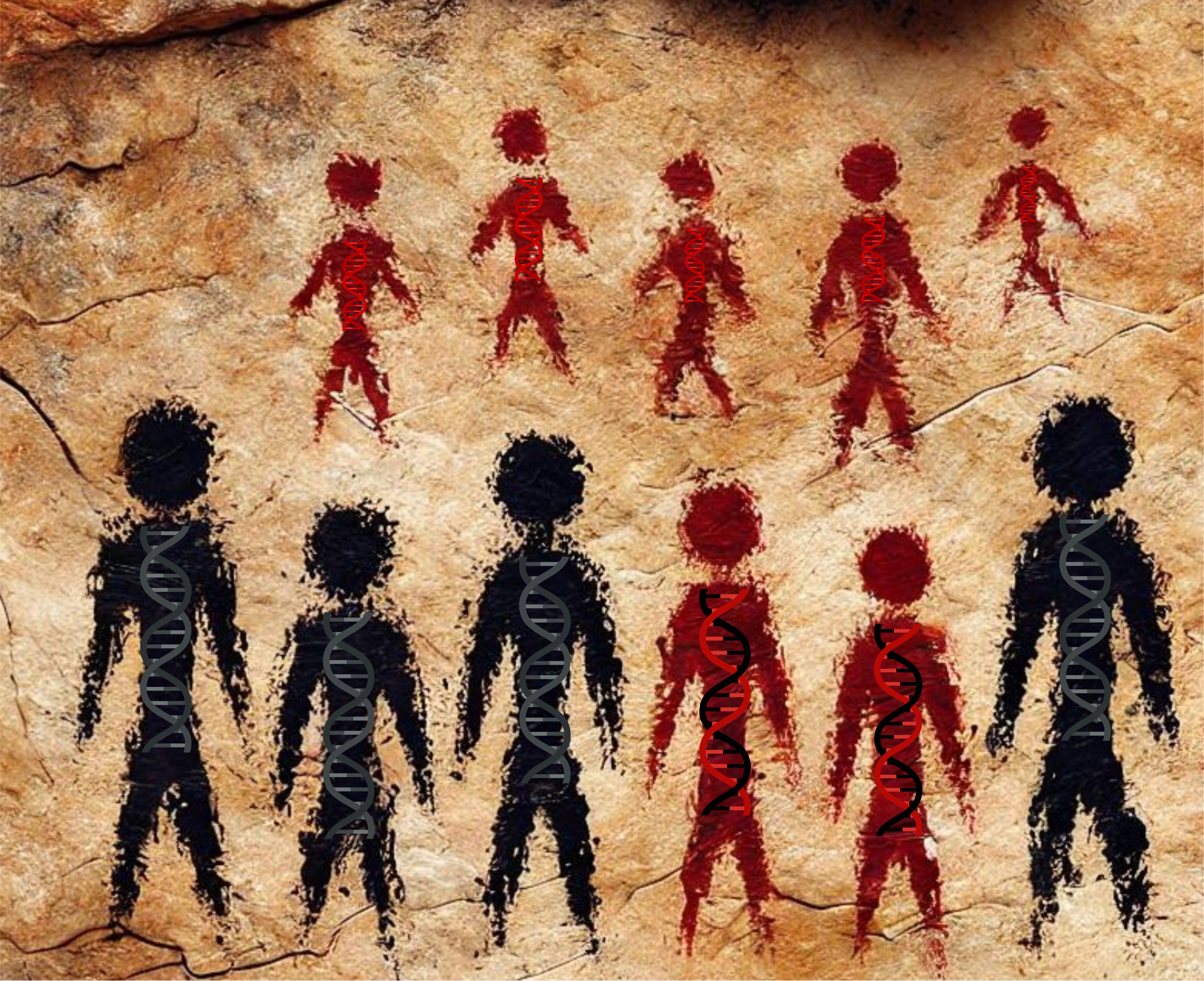 Lo que nos dice el fósil de un cráneo de 140.000 años sobre la evolución humana