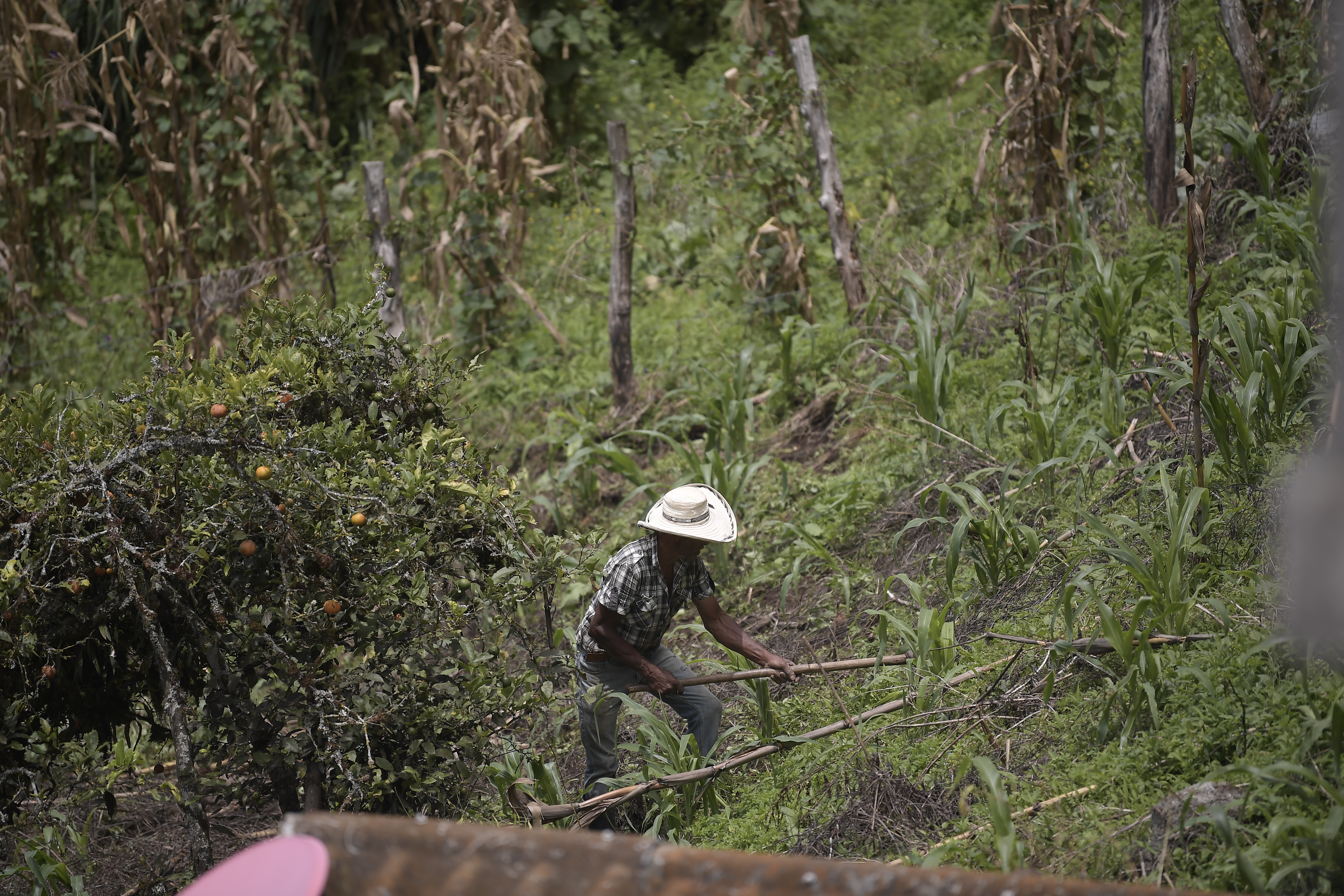 Pobreza monetaria bajó para 2023 y el panorama mejoró, sobre todo, en el campo