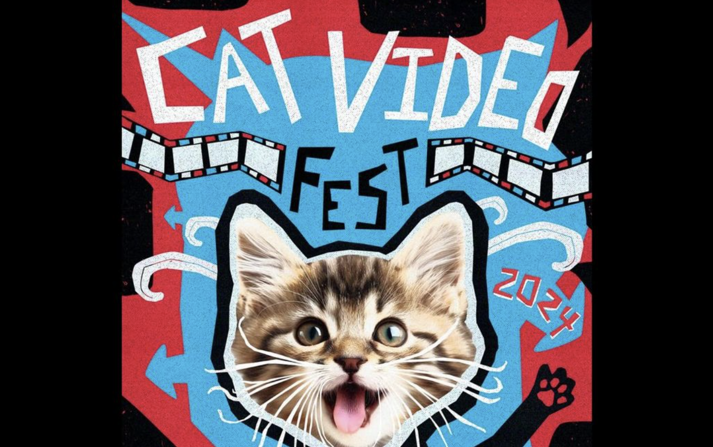 Así es el festival de cine que muestra videos graciosos de gatos para apoyar refugios