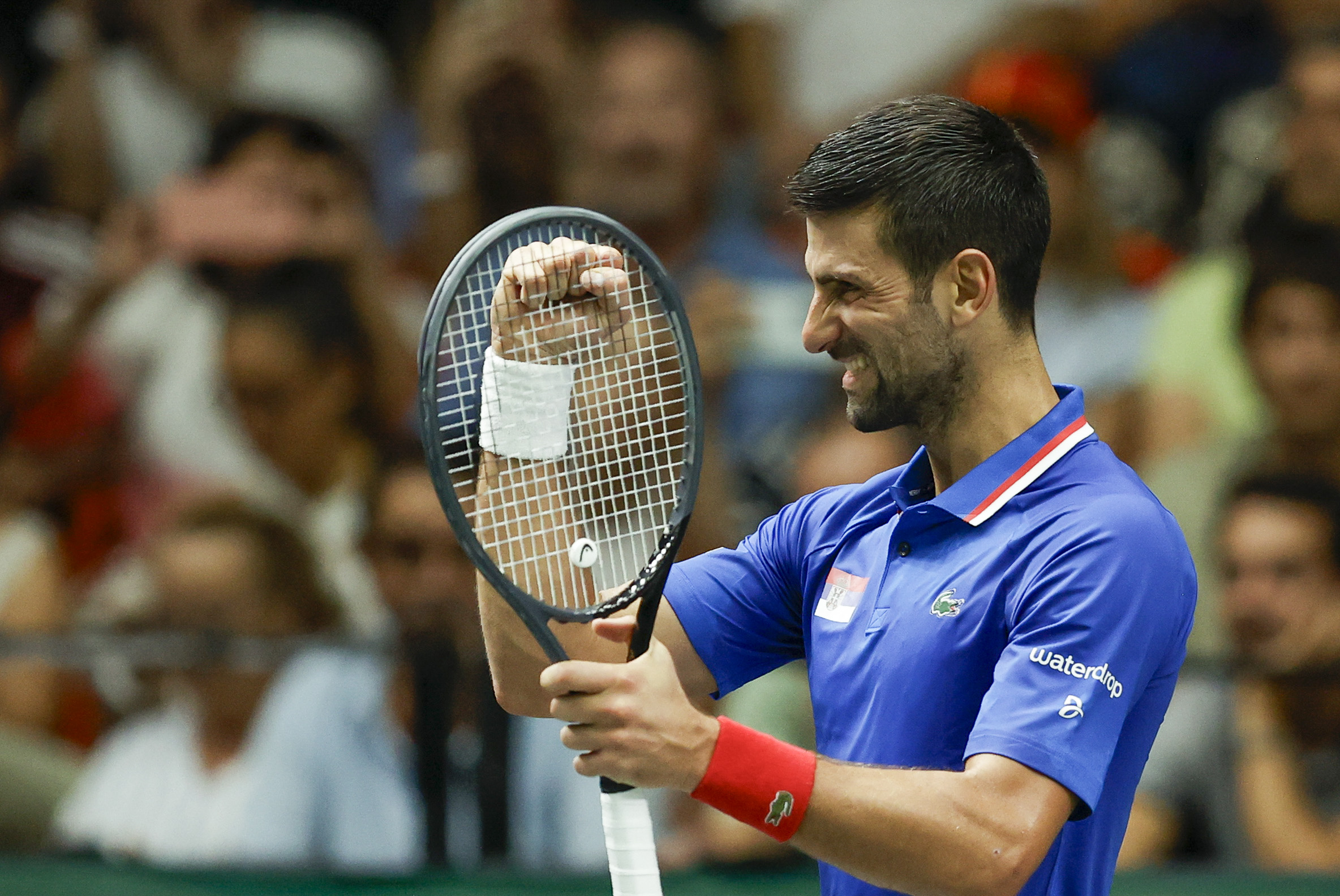 Novak Djokovic será el principal atractivo de las finales de la Copa Davis 2023