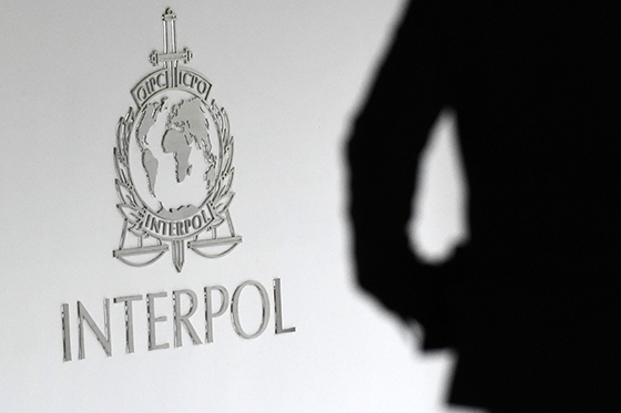 Interpol incorpora tecnología fotográfica contra el abuso infantil
