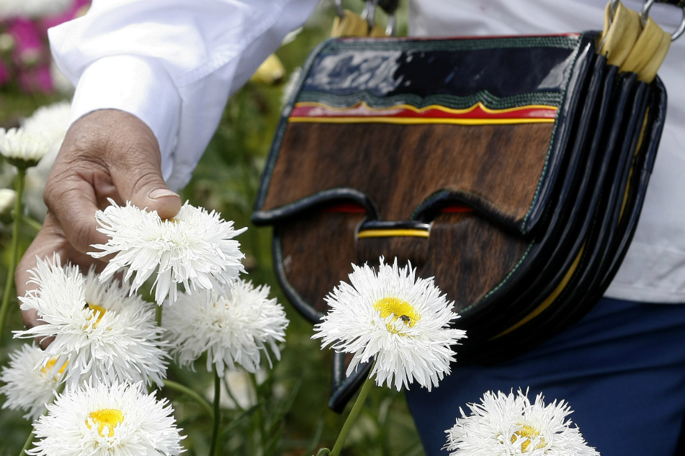 A menos de un mes del inicio de la Feria de las Flores, así se preparan los Silleteros