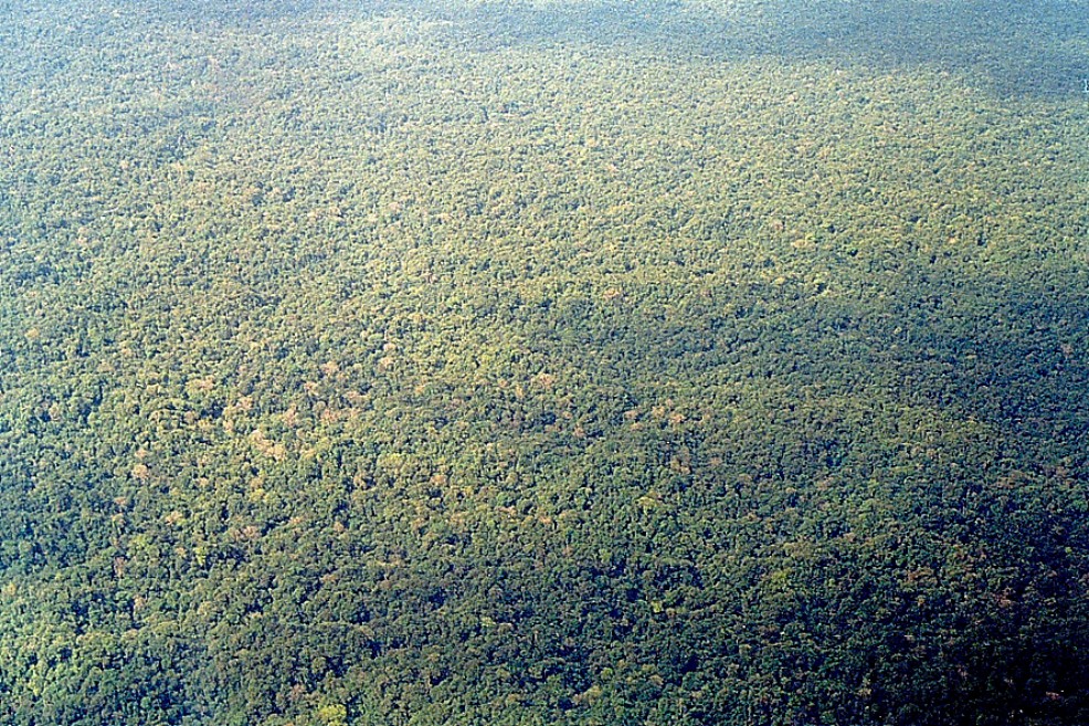 El Pacífico vendió sus primeros bonos de carbono