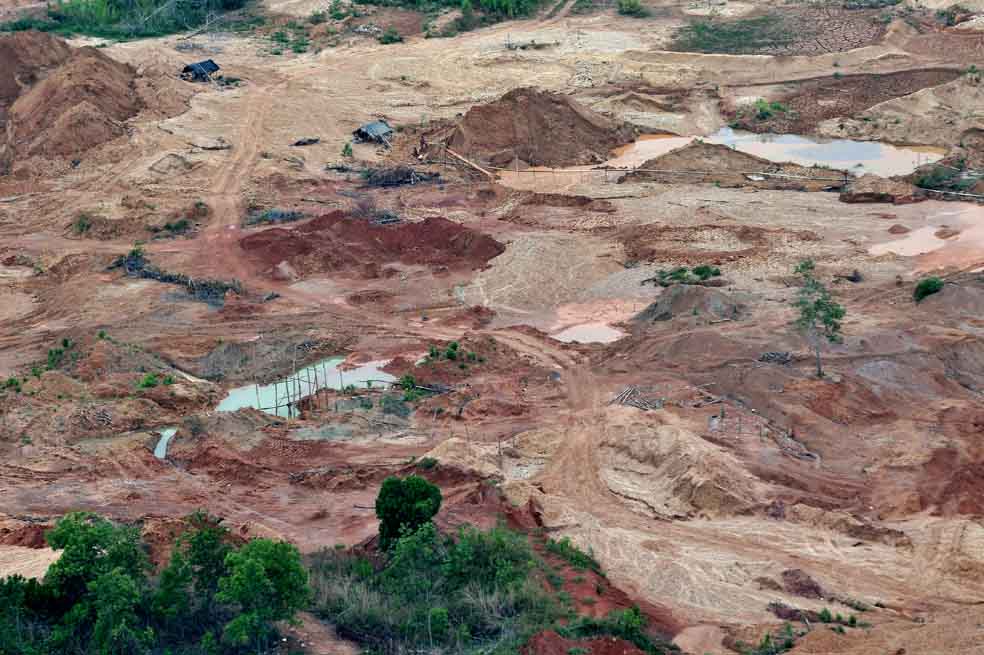 La actividad que arrasa con cuatro puntos de selva suramericana