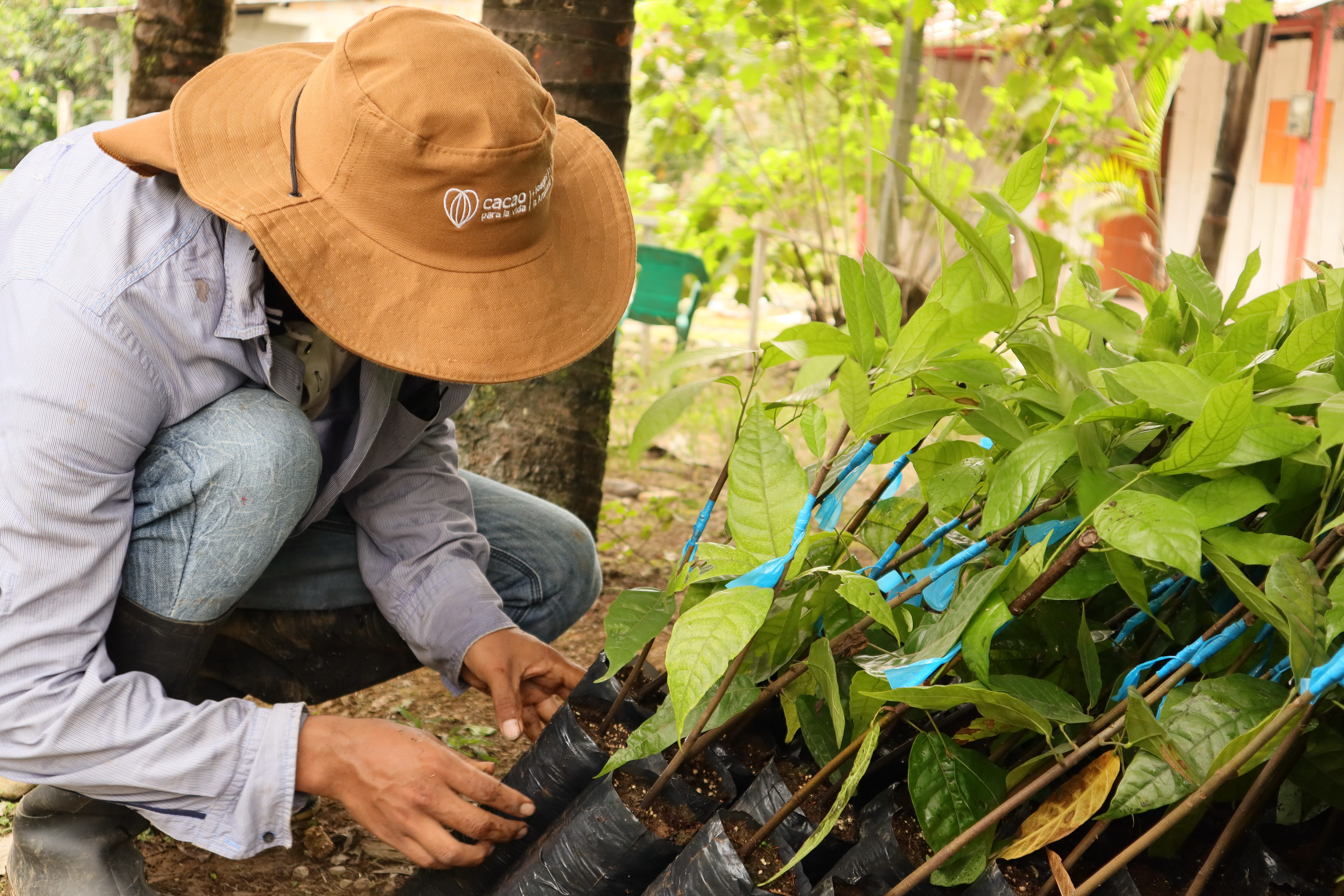 Programa Rutas PDET: Transformación integral en Caquetá, Putumayo y Tumaco