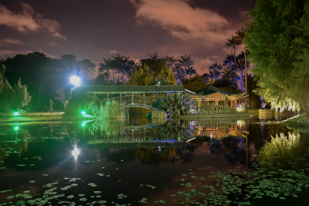 El Jardín Botánico abre sus puertas esta noche ¡es gratis! Prográmese