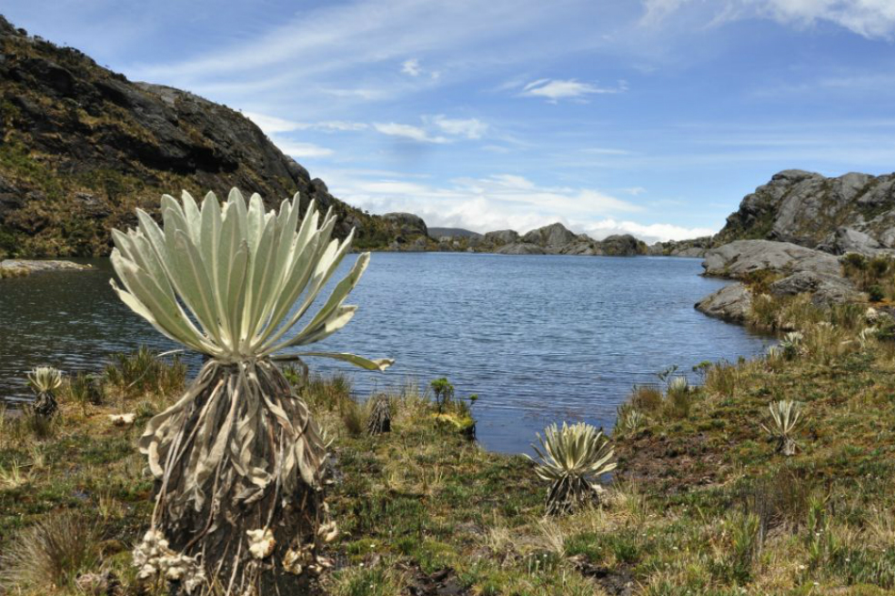 Minería continúa en páramos de Santurbán y Miraflores