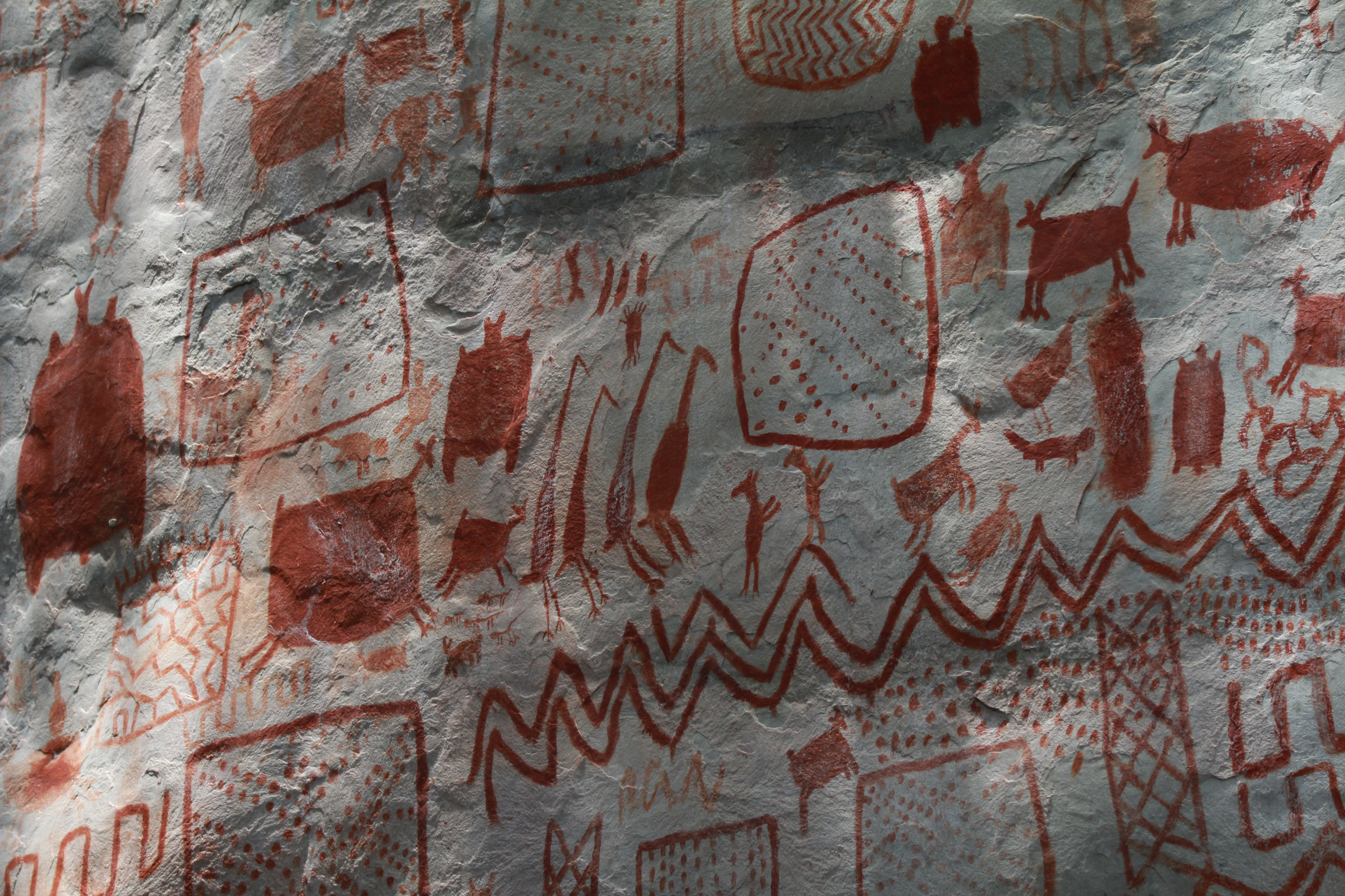 Esfuerzos por resolver las preguntas abiertas del arte rupestre de la Amazonia