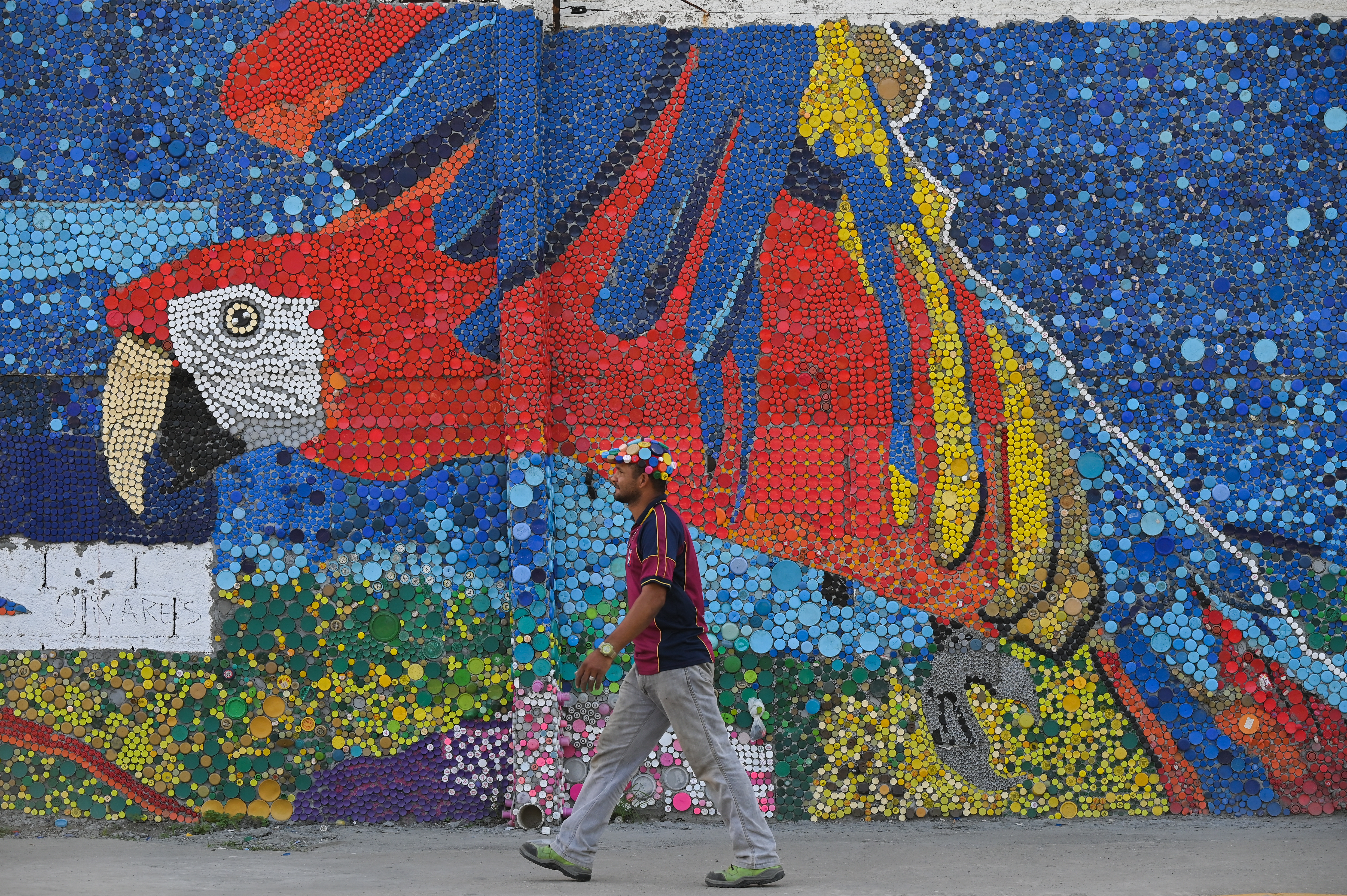 Artista plástico busca romper récord Guinness con mural de tapa plástica