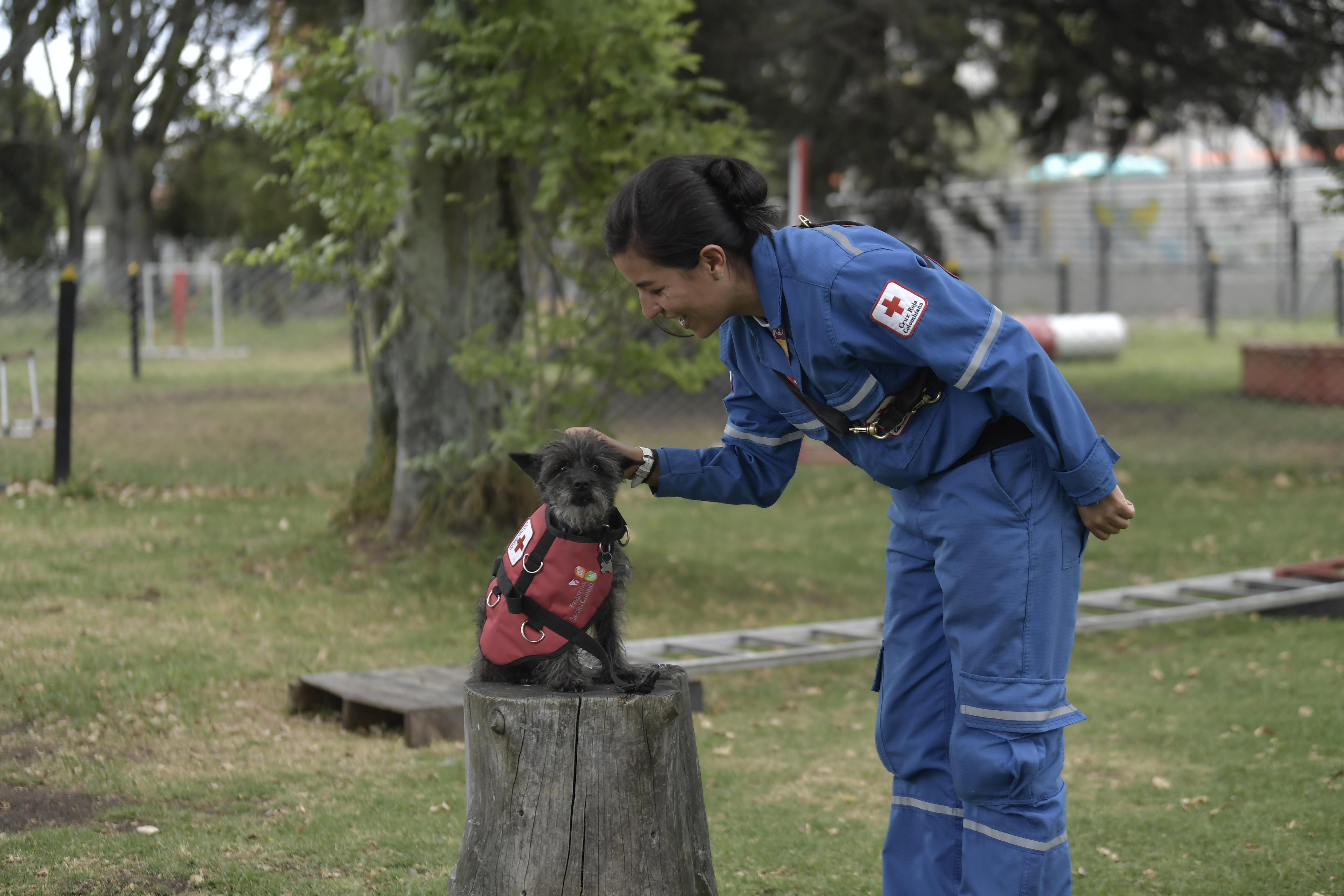Perros de apoyo psicosocial: así ayudan a las víctimas de eventos traumáticos