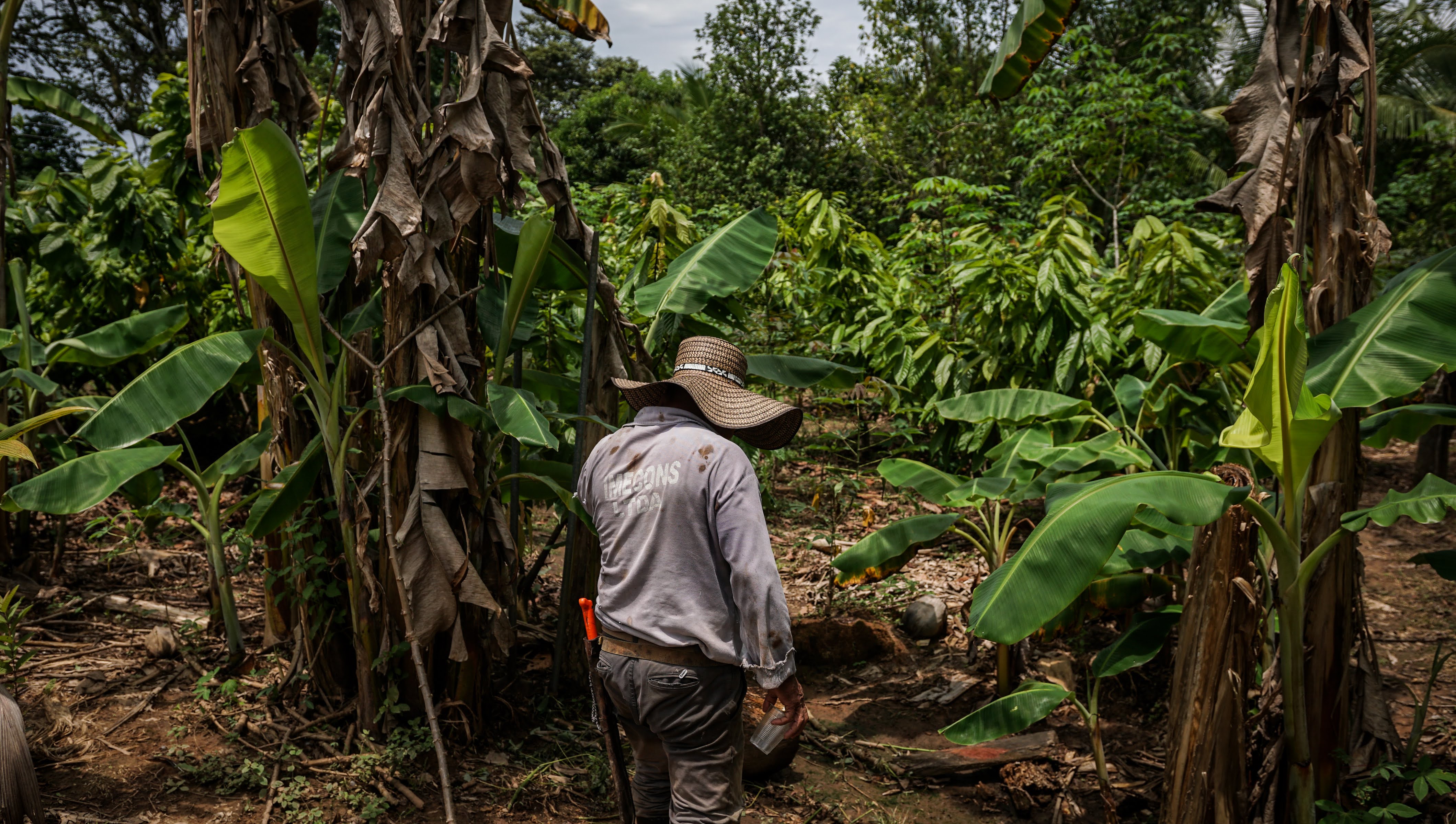 Invasiones a tierras de narcos: la otra cara que  deberá atender Petro en su reforma agraria