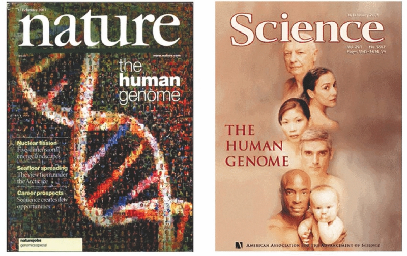 Portadas de las revistas “Nature” y “Science” cuando publicaron los artículos en febrero de 2001.