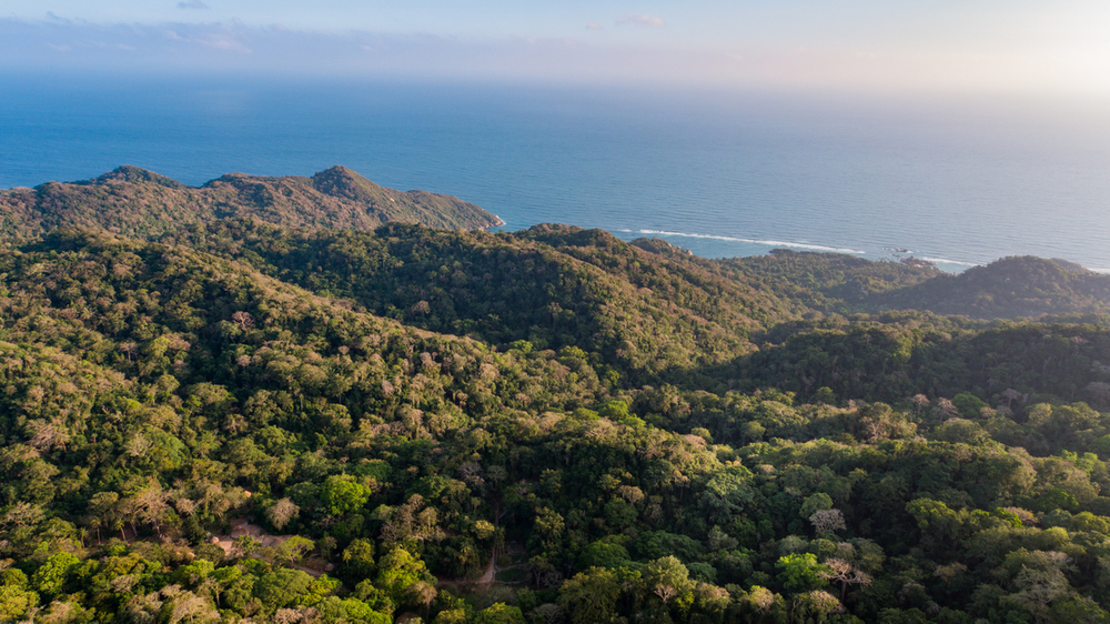 Colombia tiene nuevo mecanismo para financiar la conservación de áreas protegidas