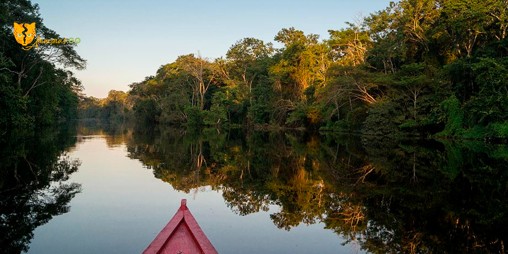 Cinco rincones de la selva colombiana que debe conocer