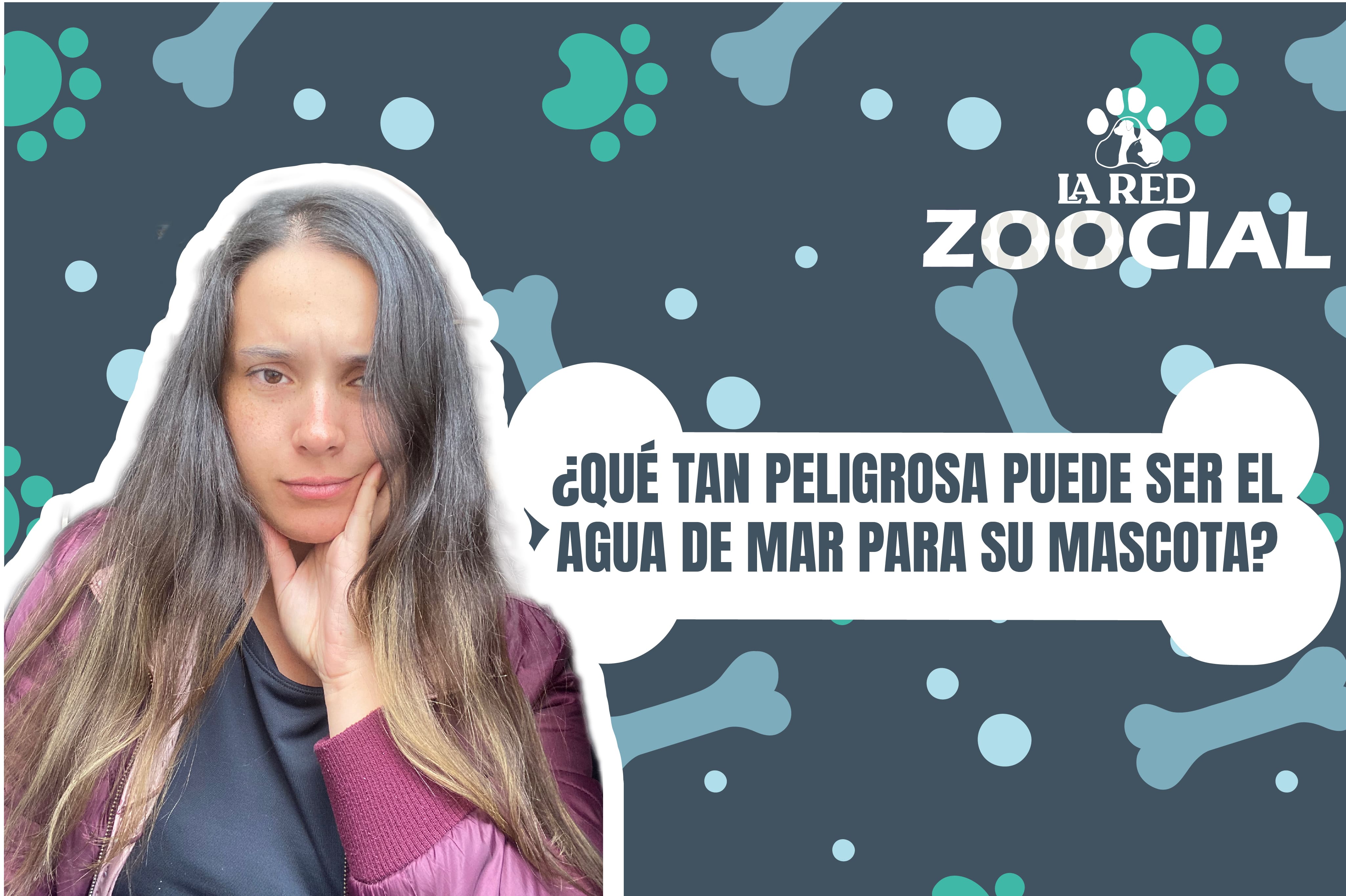(VÍDEO) ¿Qué tan peligrosa puede ser el agua de mar para su mascota?