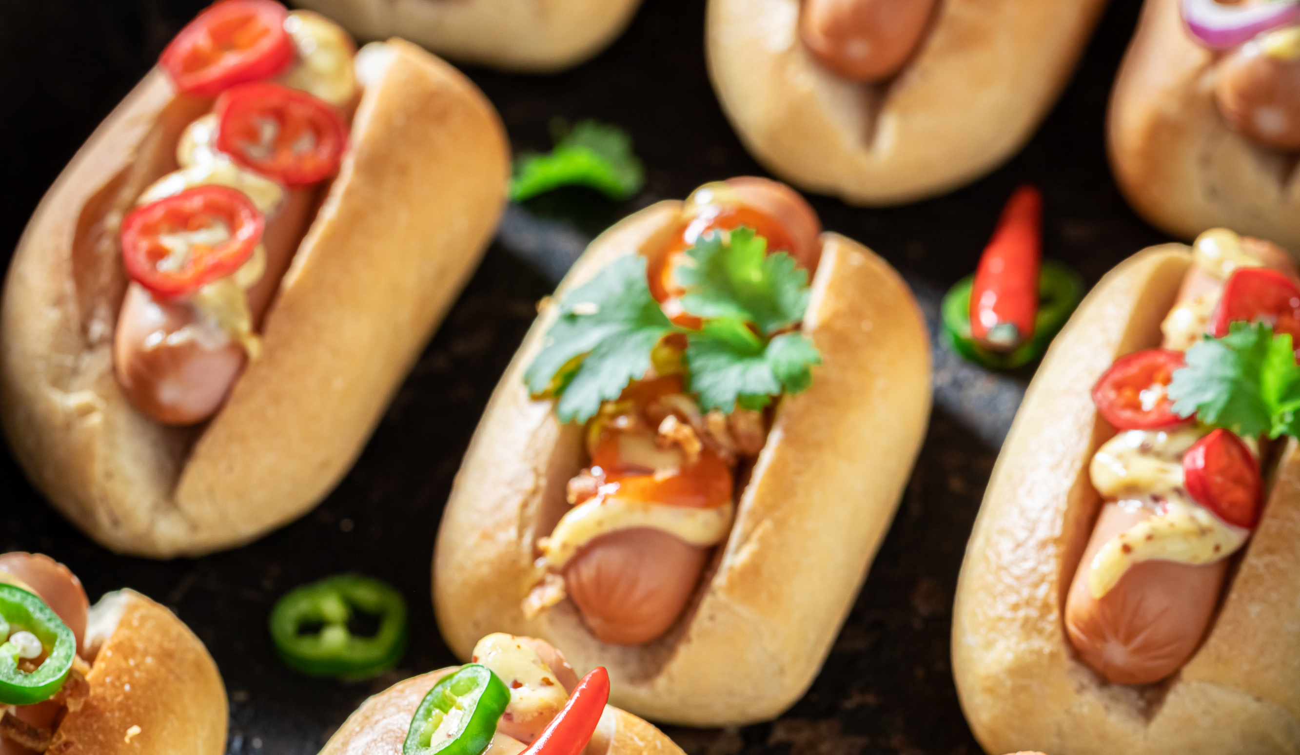 Mini perros