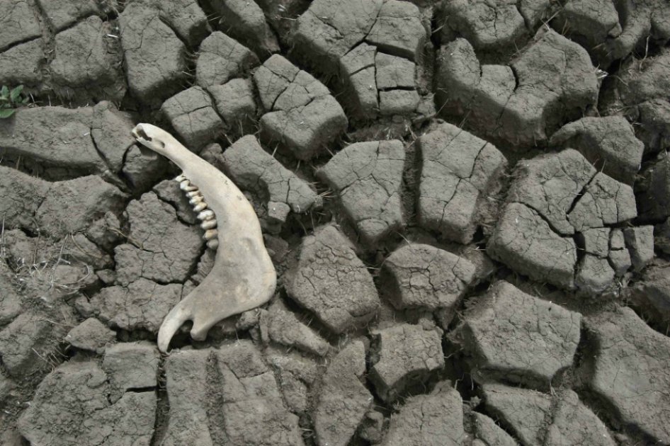 26% de los suelos de Mesoamérica están degradados por contaminación y erosión