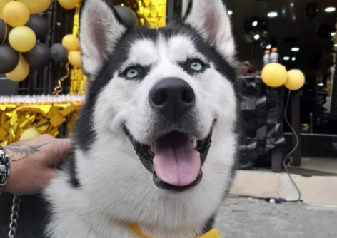 Zeus